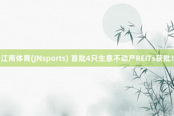 江南体育(JNsports) 首批4只生意不动产REITs获批！