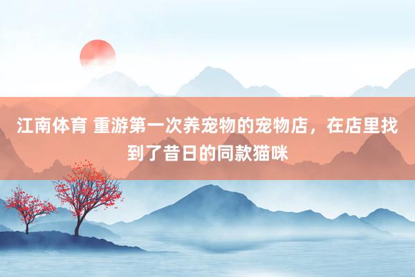 江南体育 重游第一次养宠物的宠物店，在店里找到了昔日的同款猫咪