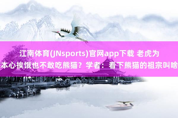江南体育(JNsports)官网app下载 老虎为何本心挨饿也不敢吃熊猫？学者：看下熊猫的祖宗叫啥名
