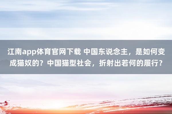 江南app体育官网下载 中国东说念主，是如何变成猫奴的？中国猫型社会，折射出若何的履行？