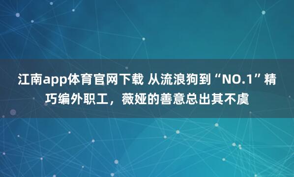 江南app体育官网下载 从流浪狗到“NO.1”精巧编外职工，薇娅的善意总出其不虞