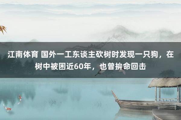 江南体育 国外一工东谈主砍树时发现一只狗，在树中被困近60年，也曾拚命回击