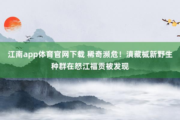 江南app体育官网下载 稀奇濒危！滇藏槭新野生种群在怒江福贡被发现