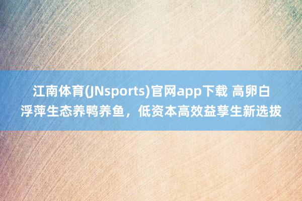 江南体育(JNsports)官网app下载 高卵白浮萍生态养鸭养鱼，低资本高效益孳生新选拔