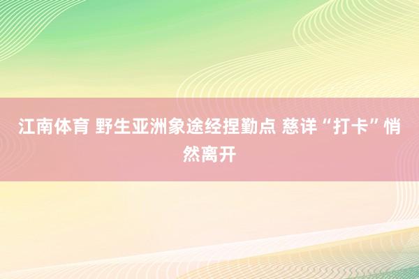 江南体育 野生亚洲象途经捏勤点 慈详“打卡”悄然离开