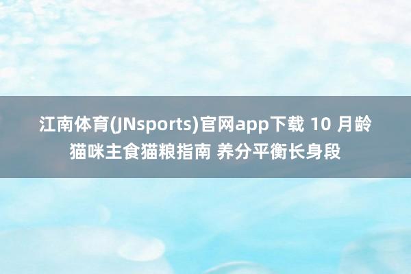 江南体育(JNsports)官网app下载 10 月龄猫咪主食猫粮指南 养分平衡长身段