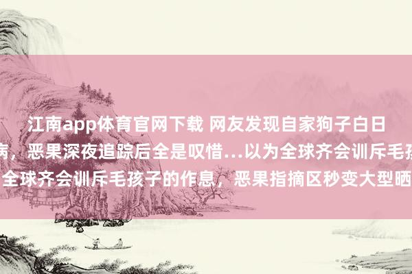 江南app体育官网下载 网友发现自家狗子白日总睡不醒，本以为是生病，恶果深夜追踪后全是叹惜…以为全球齐会训斥毛孩子的作息，恶果指摘区秒变大型晒娃现场…