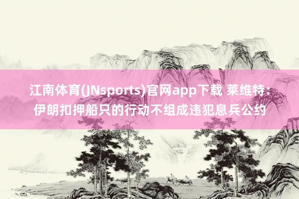 江南体育(JNsports)官网app下载 莱维特：伊朗扣押船只的行动不组成违犯息兵公约